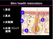 ケミカルピール