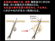 ケミカルピール