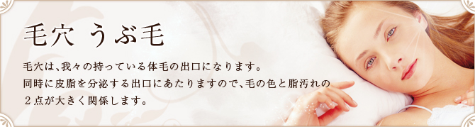 毛穴 うぶ毛