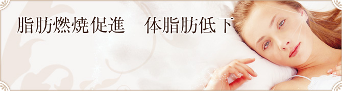 脂肪燃焼促進 体脂肪低下