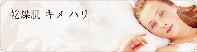 乾燥肌 キメ ハリ