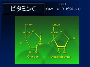 ビタミンCの効果