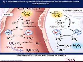 高濃度ビタミンＣ点滴の薬理効果