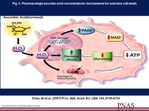 高濃度ビタミンＣ点滴の薬理効果
